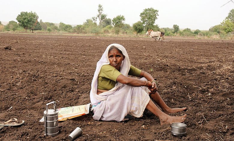 Agriculture in Uttarakhand is heading towards a crisis; the 2025 figures have increased farmers' concerns.