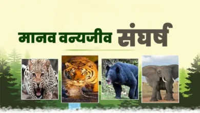 New strategy on human-wildlife conflict in Uttarakhand: now communities and elected representatives will also be involved.