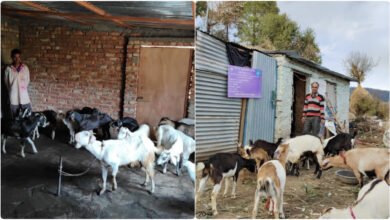 Relief for livestock farmers in Uttarakhand, the Ghasiyari Welfare Scheme will be restarted.