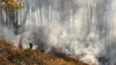 Amidst the biting cold, burning forests and smoke instead of snow in Kedarnath valley have raised concerns.