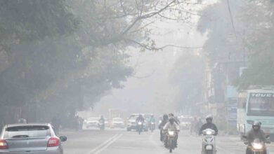 The cold wave intensifies in Uttarakhand, with dense fog in the plains and frost and snowfall in the mountains.