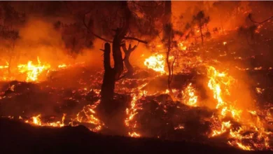 Extremely low rainfall and snowfall have led to drought-like conditions in Uttarakhand, causing river levels to drop and premature forest fires.