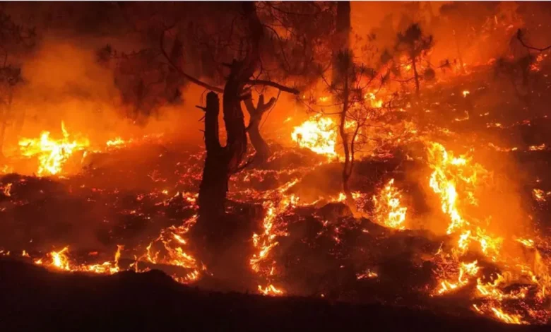 Extremely low rainfall and snowfall have led to drought-like conditions in Uttarakhand, causing river levels to drop and premature forest fires.