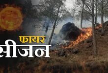 Amid forest fire season, Uttarakhand forest department faces increased activity as reorganization is discussed.