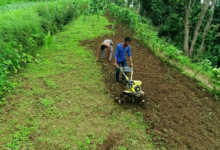 Union Budget 2026: A new path of development for small farmers in the mountains.