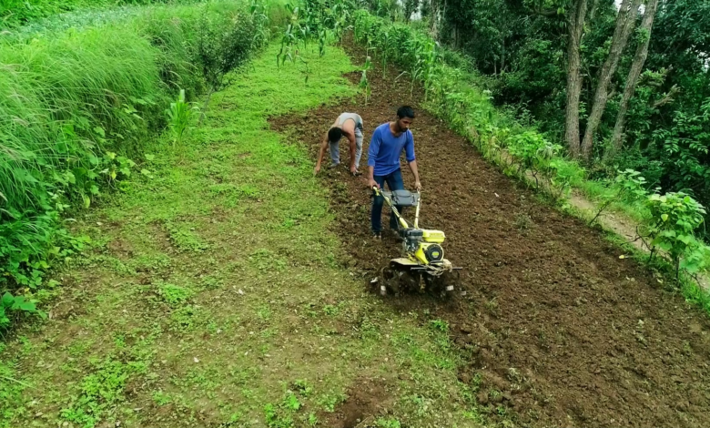 Union Budget 2026: A new path of development for small farmers in the mountains.