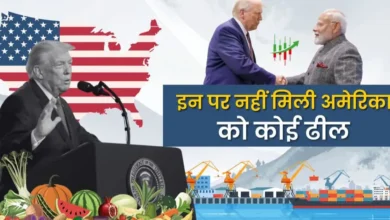 India-US interim trade agreement, boosting exports, protecting agriculture and dairy interests