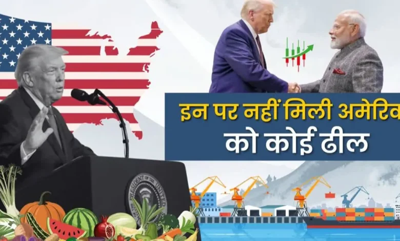 India-US interim trade agreement, boosting exports, protecting agriculture and dairy interests