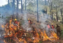 Uttarakhand on high alert ahead of fire season, forest fire mock drills conducted simultaneously in 41 divisions