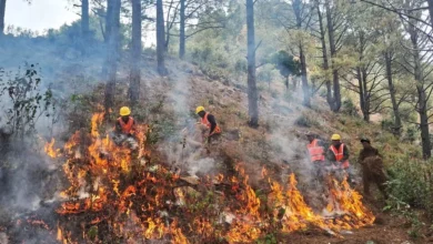 Uttarakhand on high alert ahead of fire season, forest fire mock drills conducted simultaneously in 41 divisions
