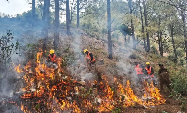 Uttarakhand on high alert ahead of fire season, forest fire mock drills conducted simultaneously in 41 divisions