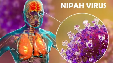 Nipah virus is rare but extremely serious, warns WHO chief; cases are limited in India.