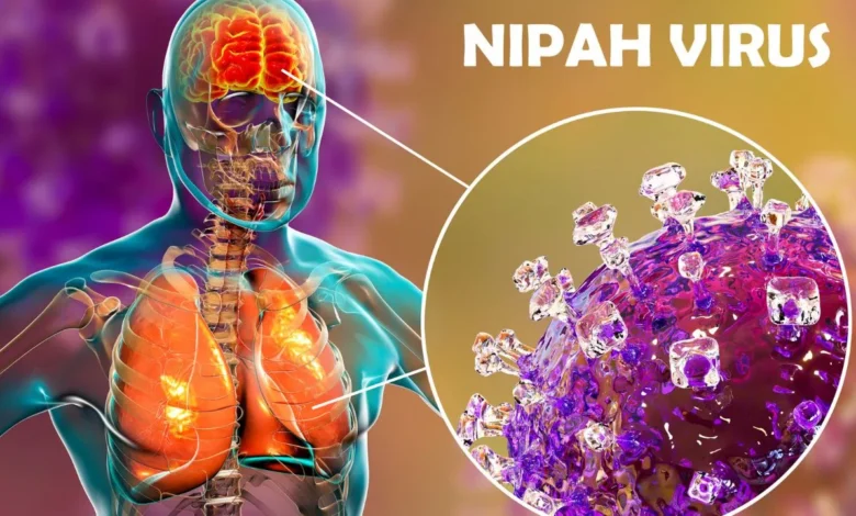 Nipah virus is rare but extremely serious, warns WHO chief; cases are limited in India.