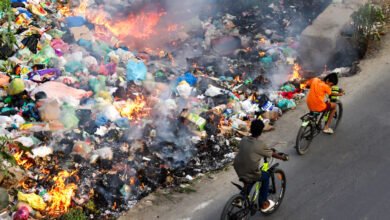 Now the danger increases in every season, becoming a health crisis throughout the year