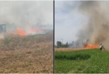 Jaspur Wheat Field Fire 2026: A short circuit in Jaspur, destroying 20 bighas of wheat fields and destroying the hard work of two farmers for a year.