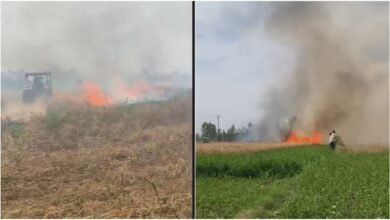Jaspur Wheat Field Fire 2026: A short circuit in Jaspur, destroying 20 bighas of wheat fields and destroying the hard work of two farmers for a year.