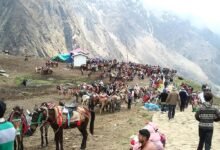 Char Dham Yatra 2026: Health services to be hi-tech, monitored through e-portal