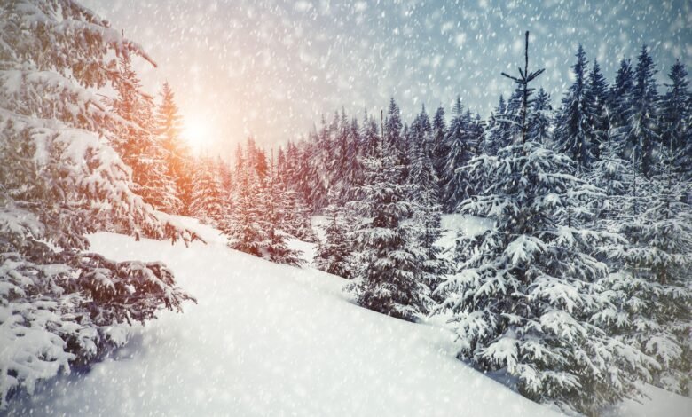 Devbhoomi wrapped in a white sheet: Heavy snowfall in Gangotri-Yamunotri and Harsil valley, farmers' faces brightened, cold knocked the door.