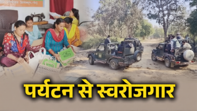 Plastic-Free Corbett Campaign: Women in Corbett's Phato Zone created 'jute magic', earning 2.4 million rupees in three years; jute bags replaced plastic bags.