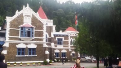 Chardham Yatra: High Court strict on animal cruelty in Chardham Yatra, instructions to change SOP