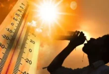 Uttarakhand Heat Wave: The mountains scorch as early as April the impact of the heatwave in Uttarakhand.