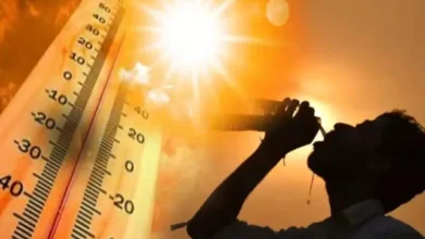 Uttarakhand Heat Wave: The mountains scorch as early as April the impact of the heatwave in Uttarakhand.