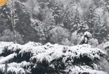 Uttarakhand Weather Alert: Return of Cold Weather in April; Heavy Rain and Snowfall Spark Concern