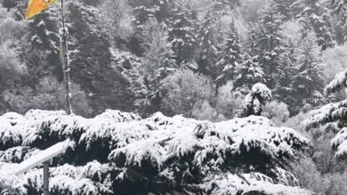 Uttarakhand Weather Alert: Return of Cold Weather in April; Heavy Rain and Snowfall Spark Concern
