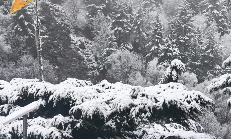 Uttarakhand Weather Alert: Return of Cold Weather in April; Heavy Rain and Snowfall Spark Concern