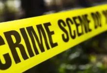 Fake NCERT Books Case: Rajasthan Connection Surfaces; SIT to Conduct Investigation in Bharatpur