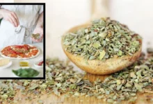 Oregano Health Benefits: 'Oregano', which enhances the taste of pizza and pasta, is a storehouse of medicinal properties. Learn how to make it at home!