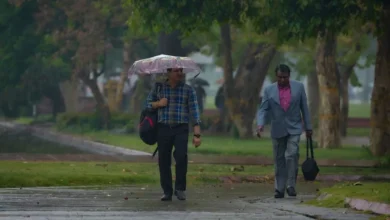 India Weather Update: Intense Sunshine in Delhi, Heatwave Conditions in UP, Rain Alert for Hill States.