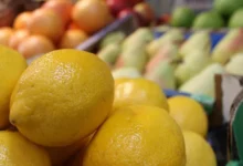 Lemon Price Hike: Lemons hit ₹200 per kg in Almora; ginger and garlic also become expensive, completely derailing household kitchen budgets.