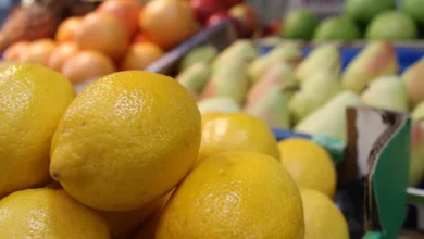 Lemon Price Hike: Lemons hit ₹200 per kg in Almora; ginger and garlic also become expensive, completely derailing household kitchen budgets.