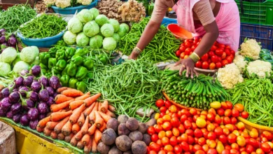 Fuel Price Impact: Vegetables Become Costlier in Uttarakhand; Kitchen Budgets Disrupted as Prices Rise by Up to 10%