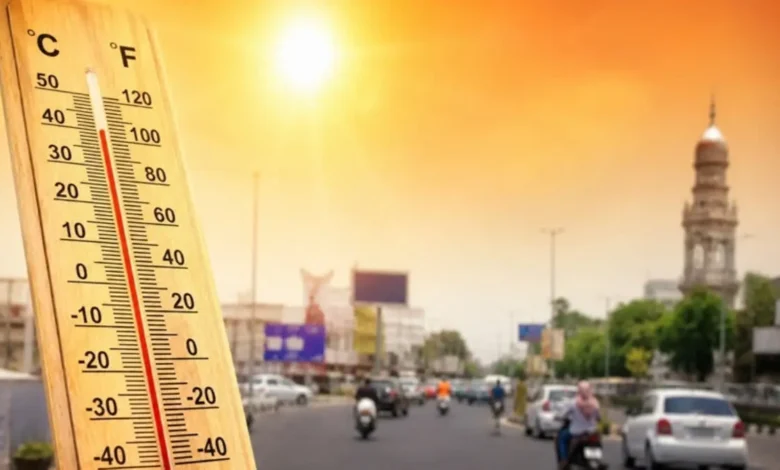 Forest Fires in Uttarakhand: Rising Temperatures Cause Uttarakhand's Forests to Smolder; Wildfires Spark Growing Concern in Garhwal!