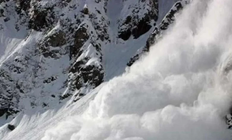 Badrinath Glacier Break: Is the Himalayas Signaling Danger? Glacier Breaks Near Badrinath; Scientists Express Grave Concern.