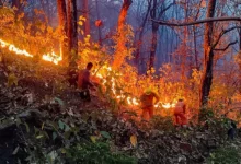 Uttarakhand Forest Fire Control: Government takes strict stance on preventing forest fires in Uttarakhand; CM Dhami sets a one-hour response time!
