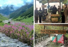 Valley of Flowers National Park Opens: Uttarakhand's Paradise of Flowers Ready to Welcome Tourists