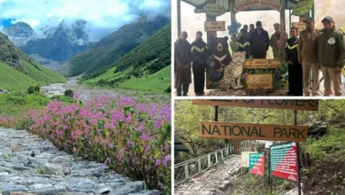 Valley of Flowers National Park Opens: Uttarakhand's Paradise of Flowers Ready to Welcome Tourists