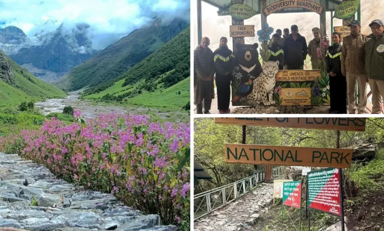 Valley of Flowers National Park Opens: Uttarakhand's Paradise of Flowers Ready to Welcome Tourists