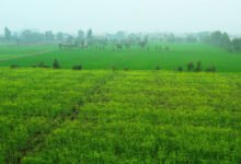 Haridwar-Laksar Highway: Temporary ban on the sale and purchase of agricultural land in 23 villages; find out why the administration took this major decision.
