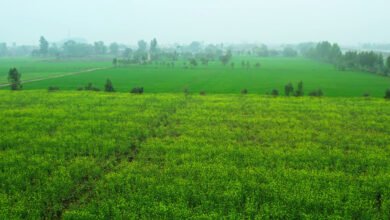 Haridwar-Laksar Highway: Temporary ban on the sale and purchase of agricultural land in 23 villages; find out why the administration took this major decision.