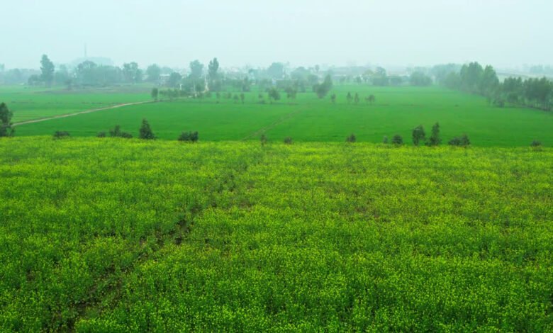Haridwar-Laksar Highway: Temporary ban on the sale and purchase of agricultural land in 23 villages; find out why the administration took this major decision.