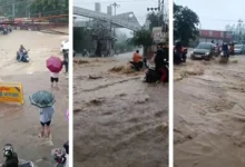 Dehradun Weather: Torrential rain disrupts normal life in Dehradun; road outside IT Park turns into a river; schools closed amid 'Red Alert'.