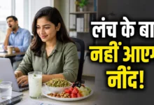 Lunch Energy Tips: Want to stay active even after lunch? Adopt these healthy habits and dietary practices to avoid feeling sluggish throughout the day.