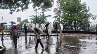 Nainital Monsoon 2026: Monsoon arrives in Nainital; heavy rains fill Naini Lake to the brim, while tourist crowds thin out and hotel rates drop.