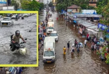 IMD Weather Update: Heavy rain in Delhi-NCR, 'Orange Alert' for Mumbai; warnings issued for heavy rain, thunderstorms, and lightning across 15 states.