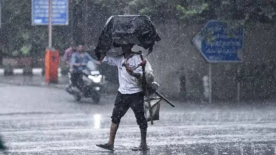 Delhi Monsoon 2026: Monsoon arrives in July for the first time in 5 years, bringing relief from the heat to Delhi-NCR; IMD issues rainfall alert!