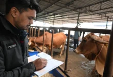 Animal Husbandry Transfer Policy: Questions raised over departmental stance excluding mother-in-law from the definition of 'family'; opportunity to submit a representation granted following High Court intervention.